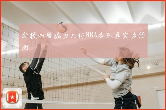 新援加盟威力几何NBA各队真实力预测