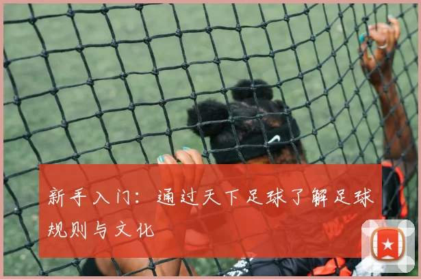 新手入门：通过天下足球了解足球规则与文化