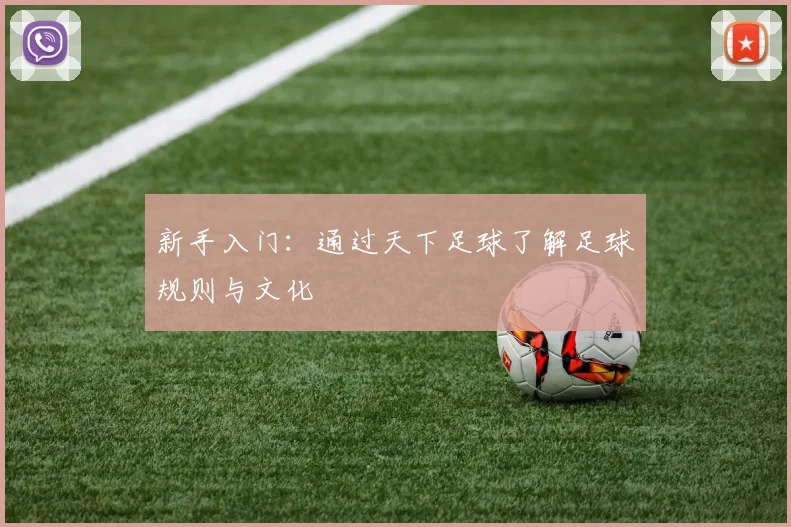 新手入门：通过天下足球了解足球规则与文化