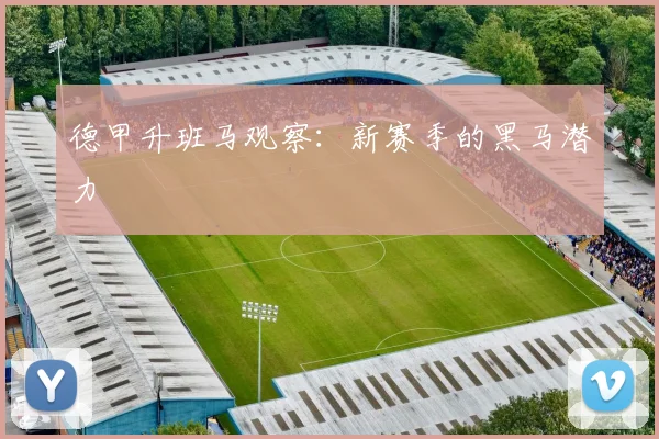 德甲升班马观察：新赛季的黑马潜力